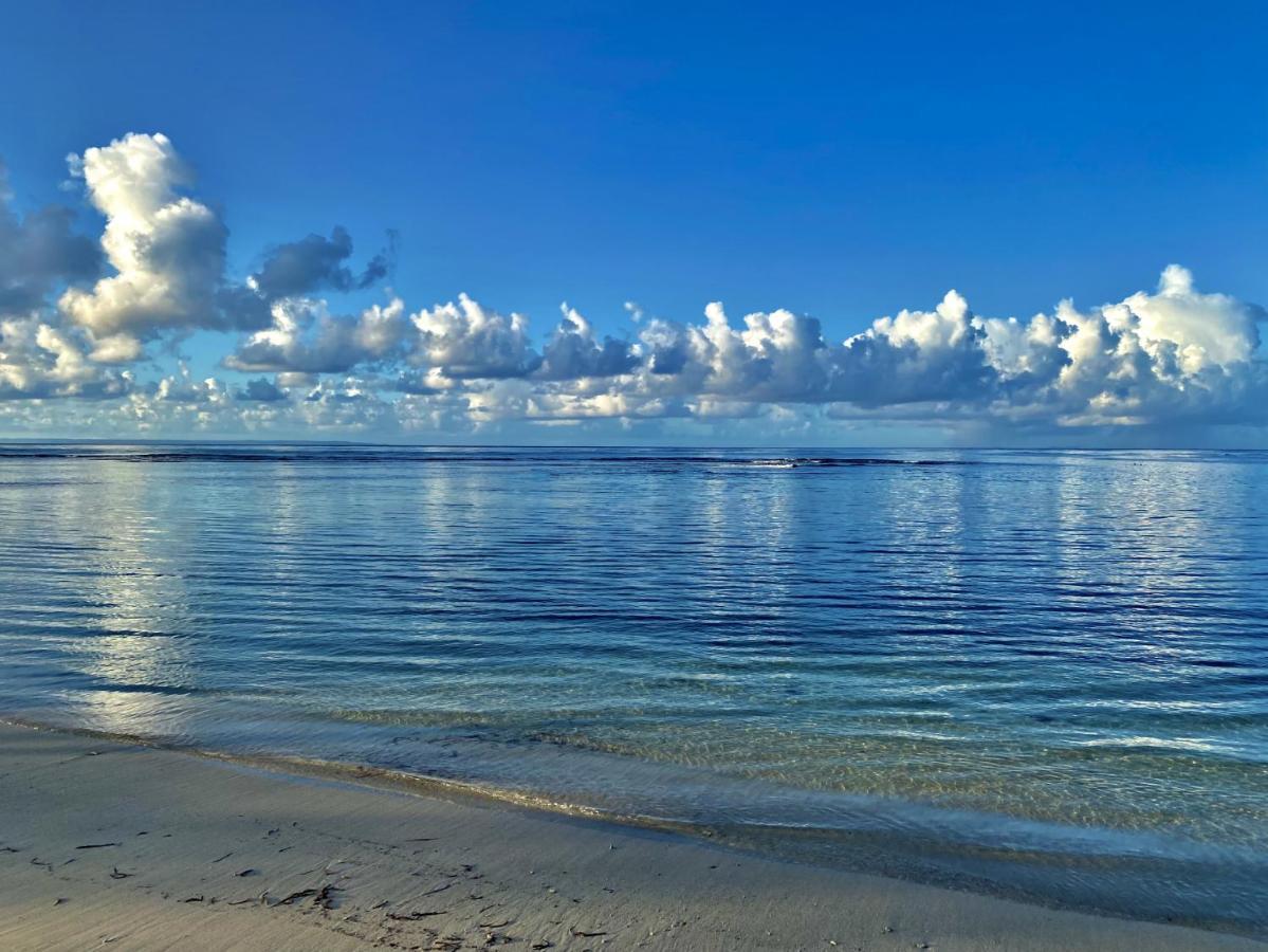 Le Paradis Zen 1Er Etage Et Rdc Vue Plage Et Mer Ste Anne 상트 안느 외부 사진